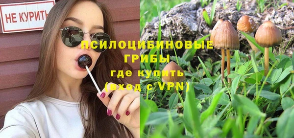mix Лабытнанги