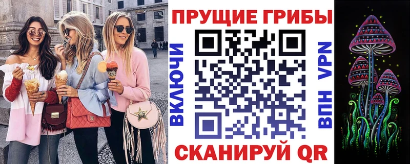 даркнет как зайти Красково Псилоцибиновые грибы Psilocybe сколько стоит