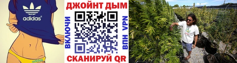 Каннабис конопля Красково